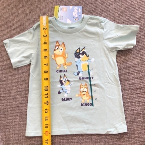 MOOSE Toddler Boy Girl Bluey Printed Short Sleeve T-Shirt Green 4T - Picture 8 of 8